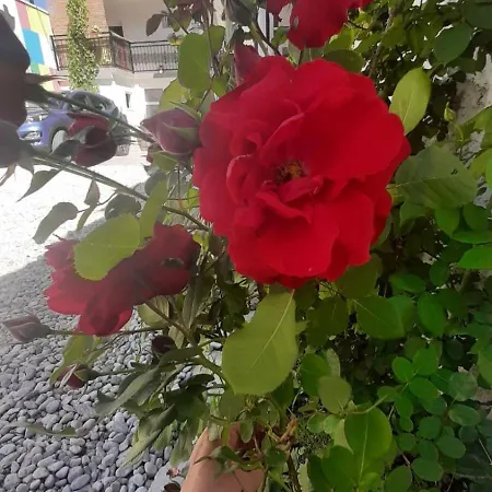 Sweet Near Old Town Apartment Mostar